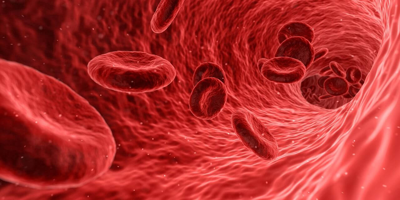 Red- blood-cells-image