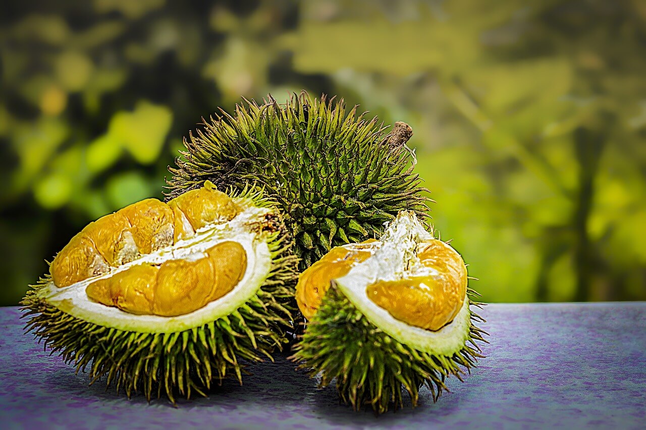 fruit-durian-image